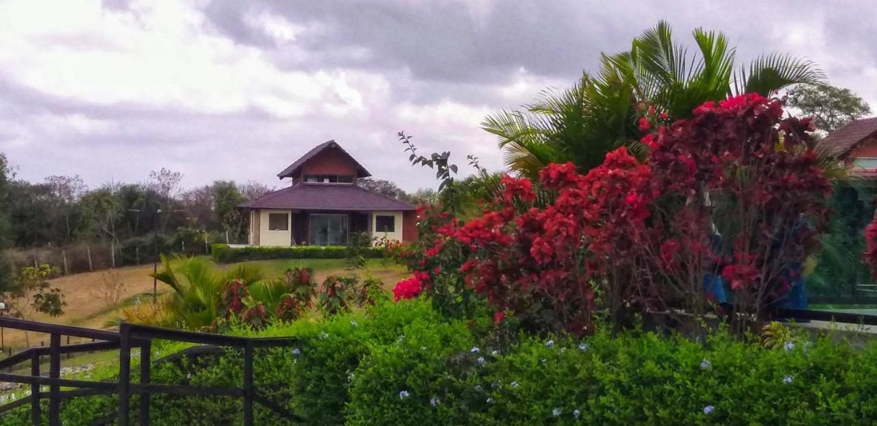 Winterville Flat 213 Gravatá Dış mekan fotoğraf