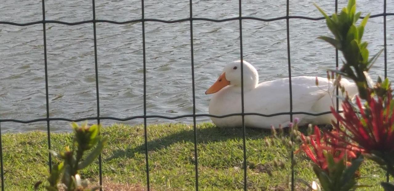 Winterville Flat 213 Gravatá Dış mekan fotoğraf